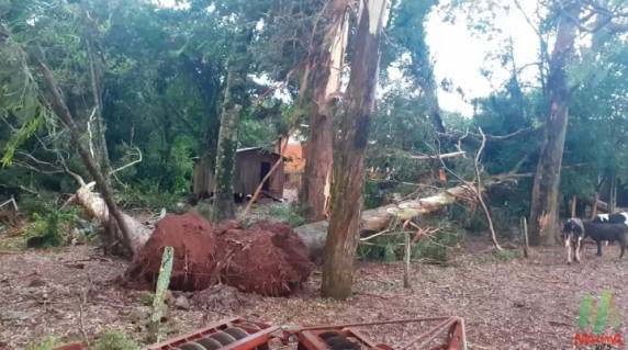 Forte temporal causa prejuízos, bloqueia rodovia e estradas na região Planalto - foto 3