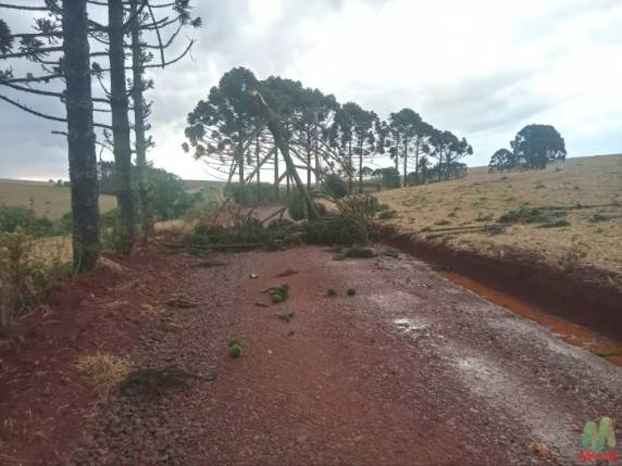 Forte temporal causa prejuízos, bloqueia rodovia e estradas na região Planalto - foto 2