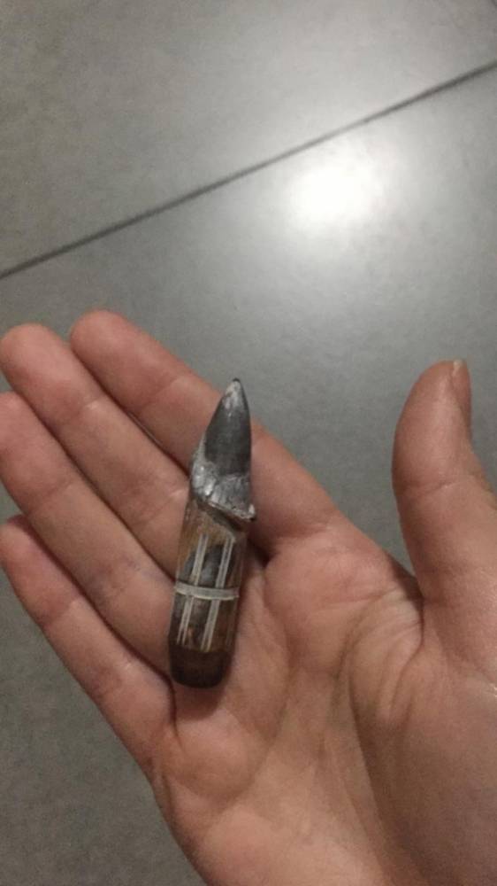 Criminosos armados assaltam bancos, fazem reféns e sitiam Criciúma - foto 3