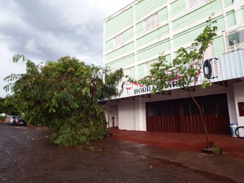 Temporal deixou Crissiumal sem luz e provocou transtornos - foto 3