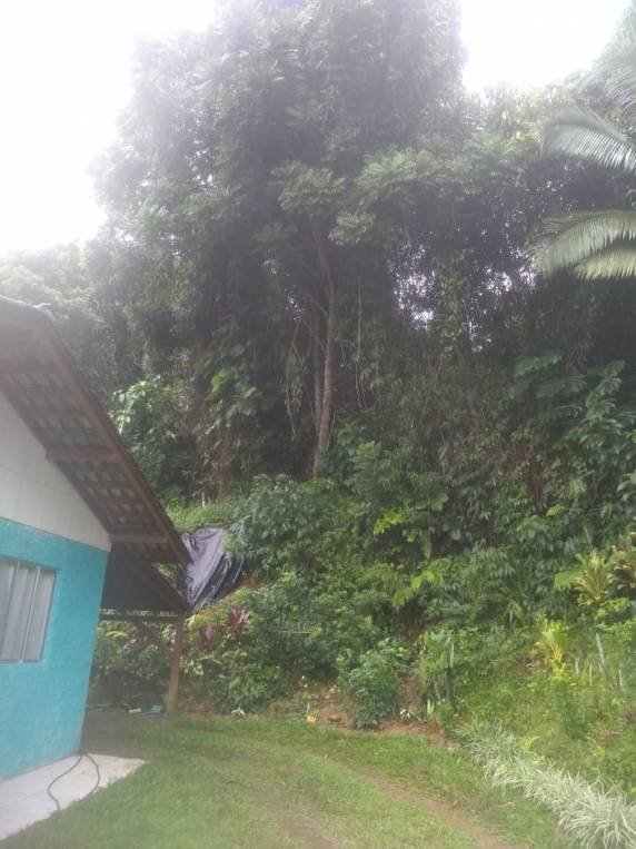 Chuva em SC: Casa é destruída por deslizamento e aumento do nível de rios preocupa moradores - foto 4