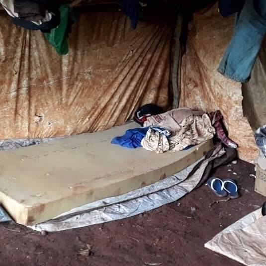 140 pessoas são resgatadas em megaoperação de combate ao trabalho escravo - foto 3