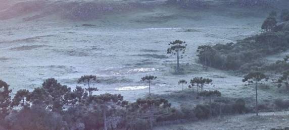 Serra de SC tem geada em pleno verão; veja fotos - foto 4