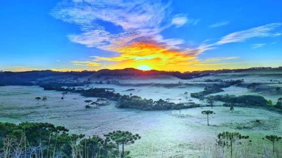 Camada fina de gelo recobriu o Vale do Caminhos da Neve em São Joaquim