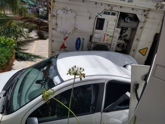 A carreta também derrubou um coqueiro de grande porte