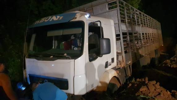 Caminhão carregado de suínos tombou em Boa Vista do Buricá - foto 3
