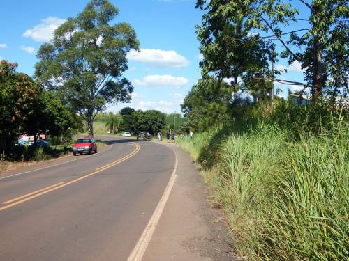 Saída de pista foi registrada na ERS 207 em Crissiumal - foto 3