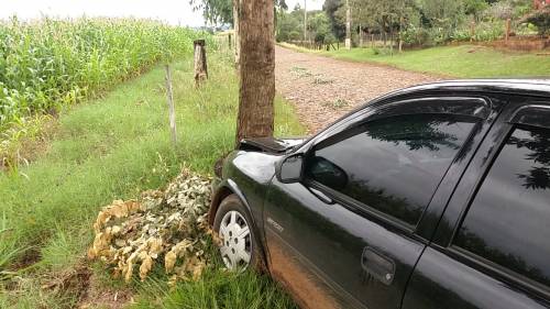 Fato ocorreu em São Sebastião