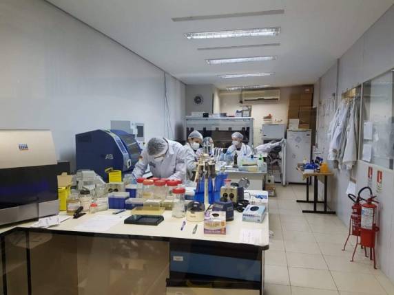 Acordo inédito qualifica trabalho do IGP no processamento de material genético de condenados - foto 3