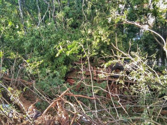 A vítima tinha 55 anos e dirigia um caminhão com carga de madeira