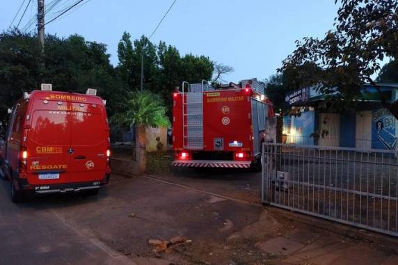 Dois animais não resistiram aos ferimentos e faleceram