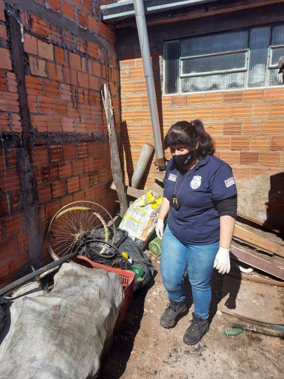 IGP realiza perícia em 17 cães vítimas de maus-tratos em Canoas - foto 5