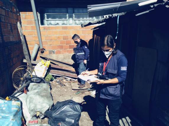 IGP realiza perícia em 17 cães vítimas de maus-tratos em Canoas - foto 2