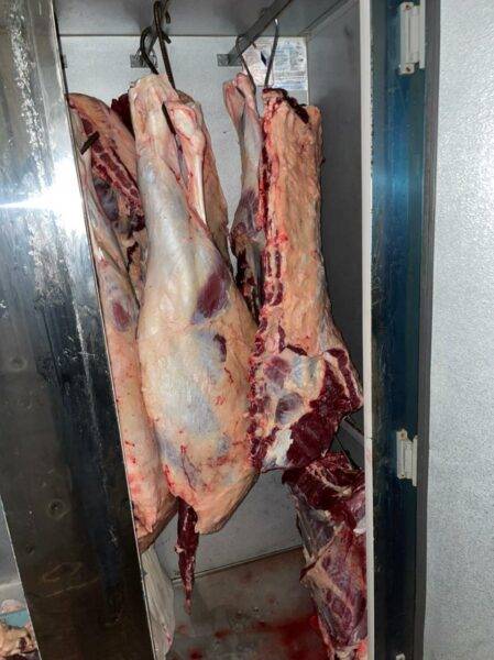 Operação em Cruz Alta combate abigeato e crime contra relação de consumo - foto 4