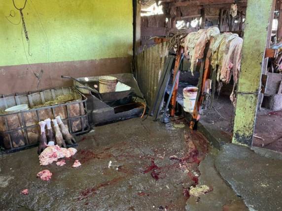 Operação em Cruz Alta combate abigeato e crime contra relação de consumo - foto 3
