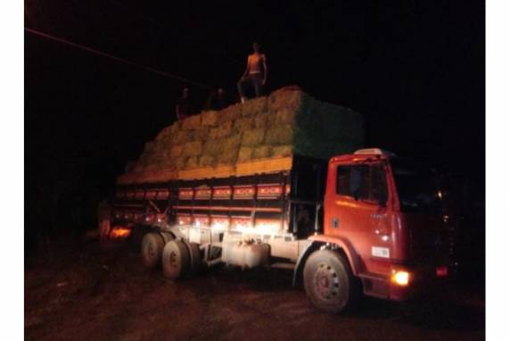 De acordo com o agricultor Volnei Ferreira de Medeiros, a encomenda de nove toneladas da planta foi feita por um cliente via WhatApp