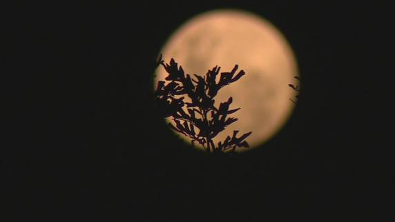Como em todo eclipse lunar total, satélite irá adquirir uma tonalidade avermelhada, formando também o fenômeno conhecido como 'lua de sangue'