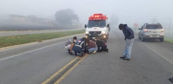 Segundo a Polícia Civil, suspeita é de que ele tenha se jogado contra um caminhão na BR-282 depois matar a mulher de 38 anos em Santo Amaro da Imperatriz.