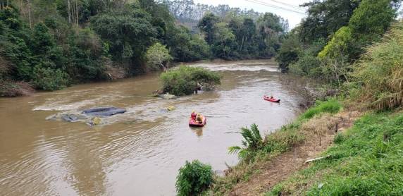 Morador de 37 anos localizou o animal em uma pedra no meio do Rio Benedito e tentou fazer a travessia, mas não conseguiu vencer o curso da água e desapareceu.