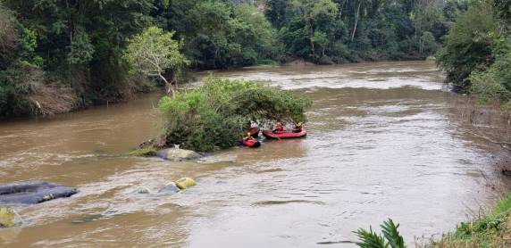 Morador de 37 anos localizou o animal em uma pedra no meio do Rio Benedito e tentou fazer a travessia, mas não conseguiu vencer o curso da água e desapareceu.