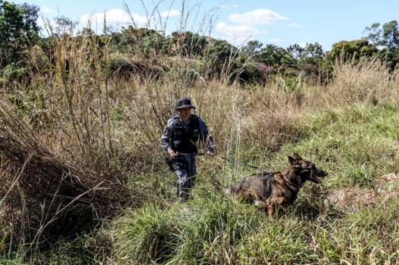 Buscas pelo fugitivo, conhecido como "serial killer do DF", entraram no 17º dia