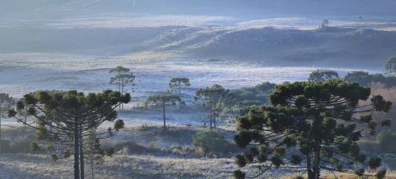 Frio intenso: primeira neve do ano em SC poderá ser registrada na próxima semana - foto 3