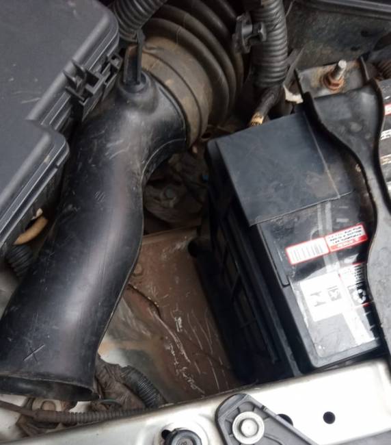 Frajola, de apenas 3 meses, se escondeu no motor de um carro e foi de Capão da Canoa, no Litoral Norte, a Estrela, no Vale do Taquari. Família divulgou o desaparecimento nas redes sociais, mas não imaginou que filhote tinha ido parar em outra região.