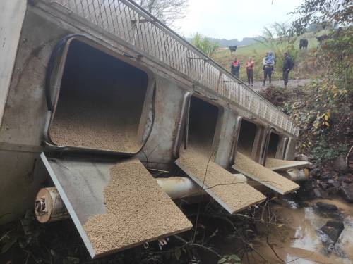 Caminhão carregado de ração tomba ao passar por cima de ponte no interior de Crissiumal - foto 2