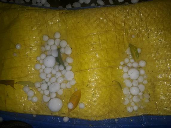 VÍDEO; temporal de granizo em Três de Maio na noite desta segunda-feira - foto 4