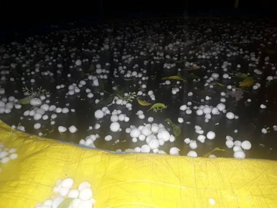 VÍDEO; temporal de granizo em Três de Maio na noite desta segunda-feira - foto 2