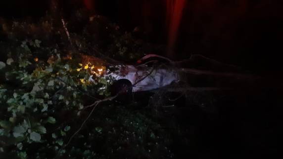 Acidente envolvendo dois veículos na BR-285 entre o Posto 300 e o Trevão, em Panambi - foto 3