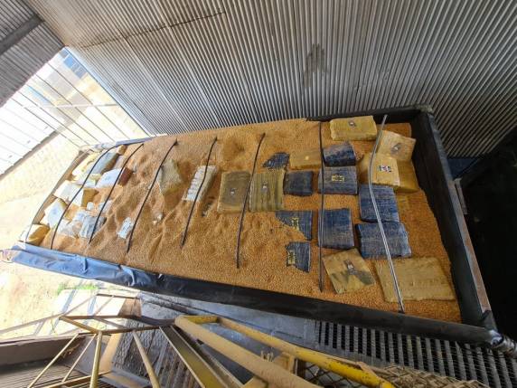 Operação flagra 24,5 toneladas de maconha em bitrem, maior apreensão da droga na história de SC, diz PRF - foto 2