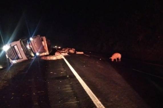 Acidente ocorreu no km 382; pista no sentido à Interior- Capital ficou interditada devido à ocorrência
