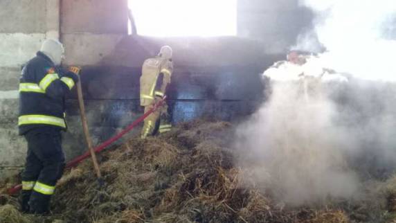 Incêndio atingiu depósito de feno em Linha Almeida, Boa Vista do Buricá - foto 3