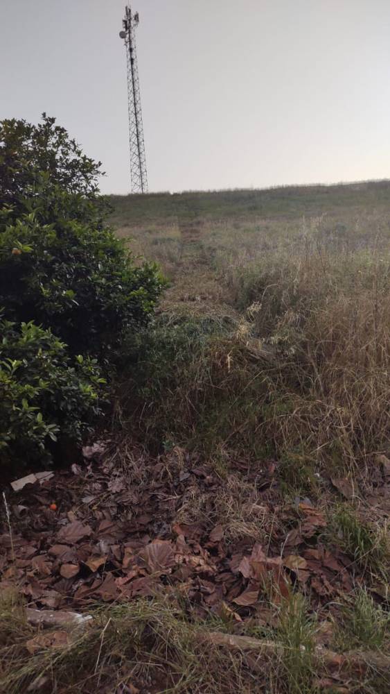 Veículo invadiu residência em Boa Vista do Buricá - foto 2