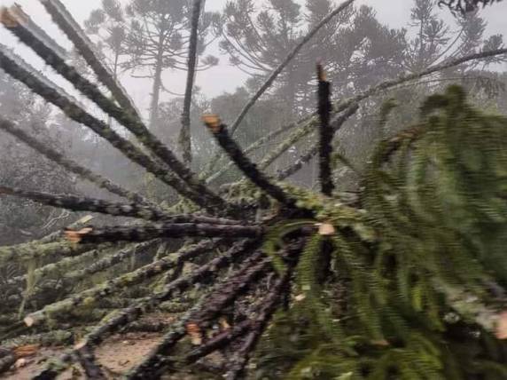 Tempestade de granizo provoca estragos e prefeitura cancela feriado farroupilha em São José dos Ausentes - foto 4