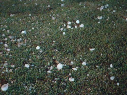 Noite de temporais e granizo em Crissiumal e região - foto 3