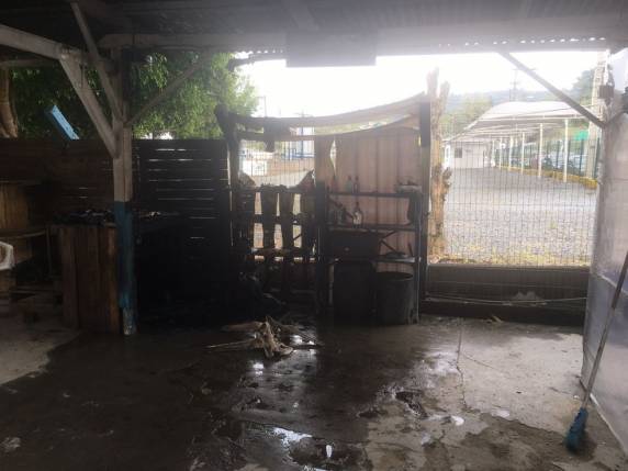 Adolescente sofre queimaduras graves após carregador de celular explodir na tomada em SC - foto 3