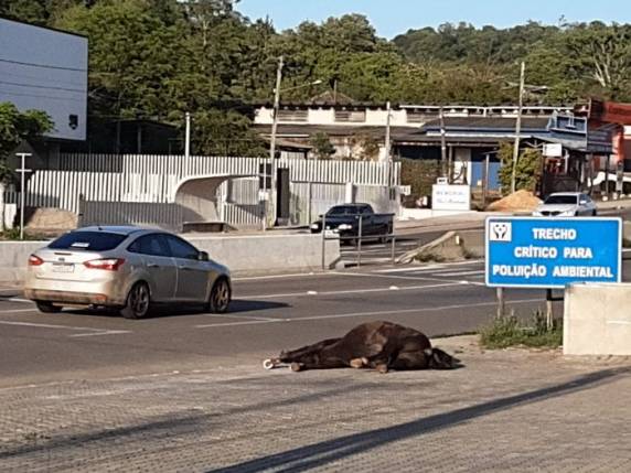 Homem de 42 anos fazia ronda como vigilante quando aconteceu o acidente