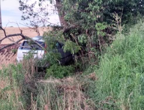 Saída de pista seguida de colisão em árvore deixa um jovem morto na RS 210 em São Martinho - foto 2