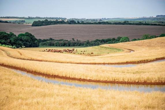 Estiagens se tornaram uma ameaça ainda mais concreta à agricultura, o que coloca o Estado diante de um desafio para reduzir o impacto do desequilíbrio nas chuvas