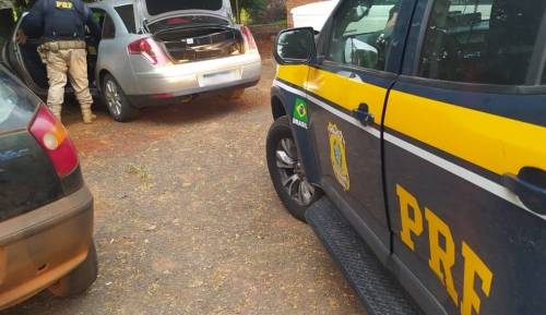 Apreensão ocorreu na tarde deste domingo