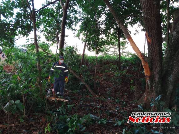 Idoso morre após saída de pista na RS 342 em Três de Maio - foto 2