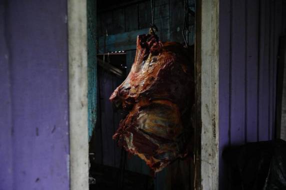 Bifes de carne de cavalo misturada com a de gado eram vendidos para hamburguerias da Serra - foto 4