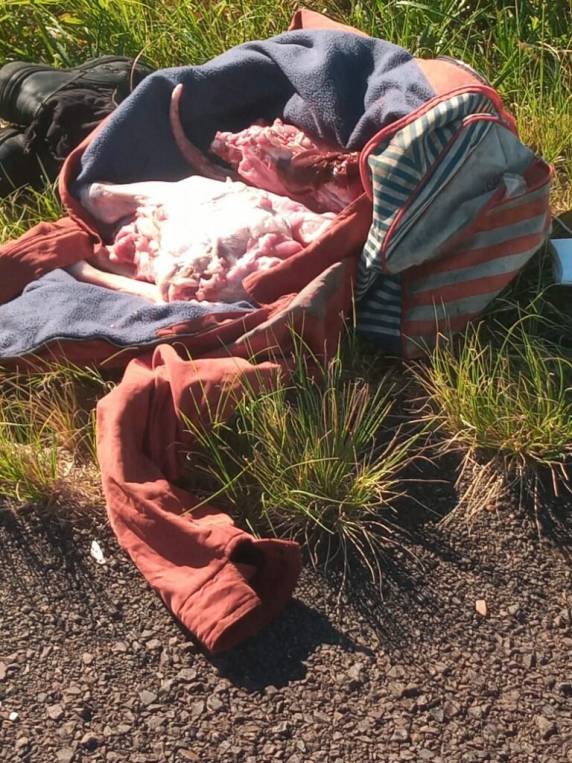 Na manhã de sexta-feira(19), dois indivíduos foram presos em flagrante ao serem abordados com uma ovelha carneada, dentro de mochilas, na BR 290, na localidade do Inhanduí - Alegrete.