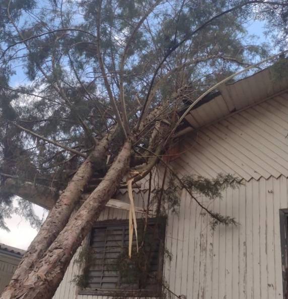 Microexplosão provocada por ciclone causa estragos no Oeste de SC, aponta Epagri - foto 3