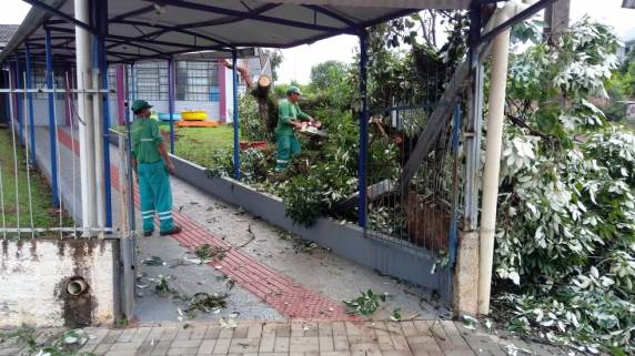 Microexplosão provocada por ciclone causa estragos no Oeste de SC, aponta Epagri - foto 2
