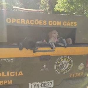 Segundo a BM, cães não tinham água e ração; alguns estavam muito magros