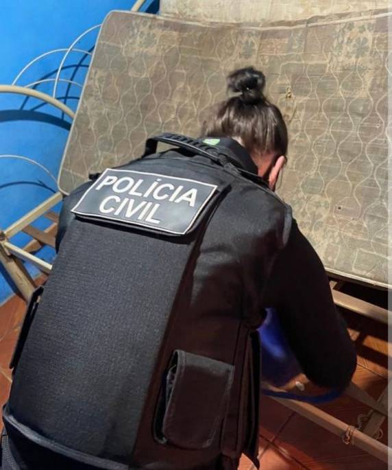Operação PUZZLE prende 13 pessoas em Cruz Alta - foto 2
