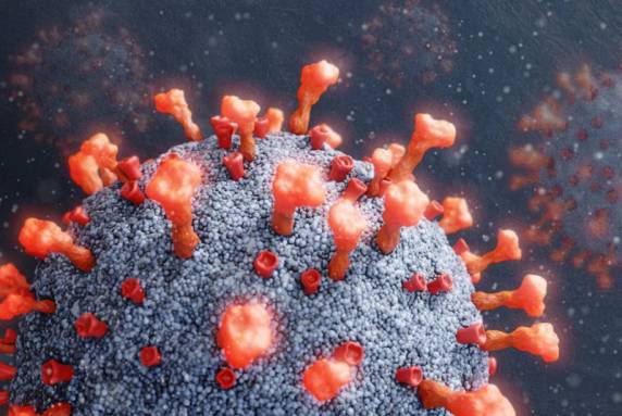 Outros oito casos estão em investigação, segundo a pasta